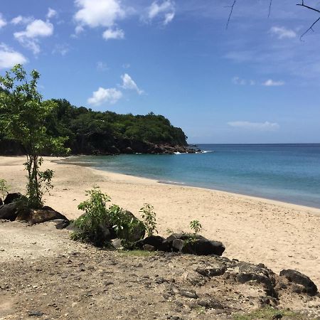 Les Lianes De Corail Apartment Deshaies Bagian luar foto